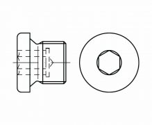 DIN 908, Korki gwintowane z gniazdem sześciokątnym z kołnierzem
